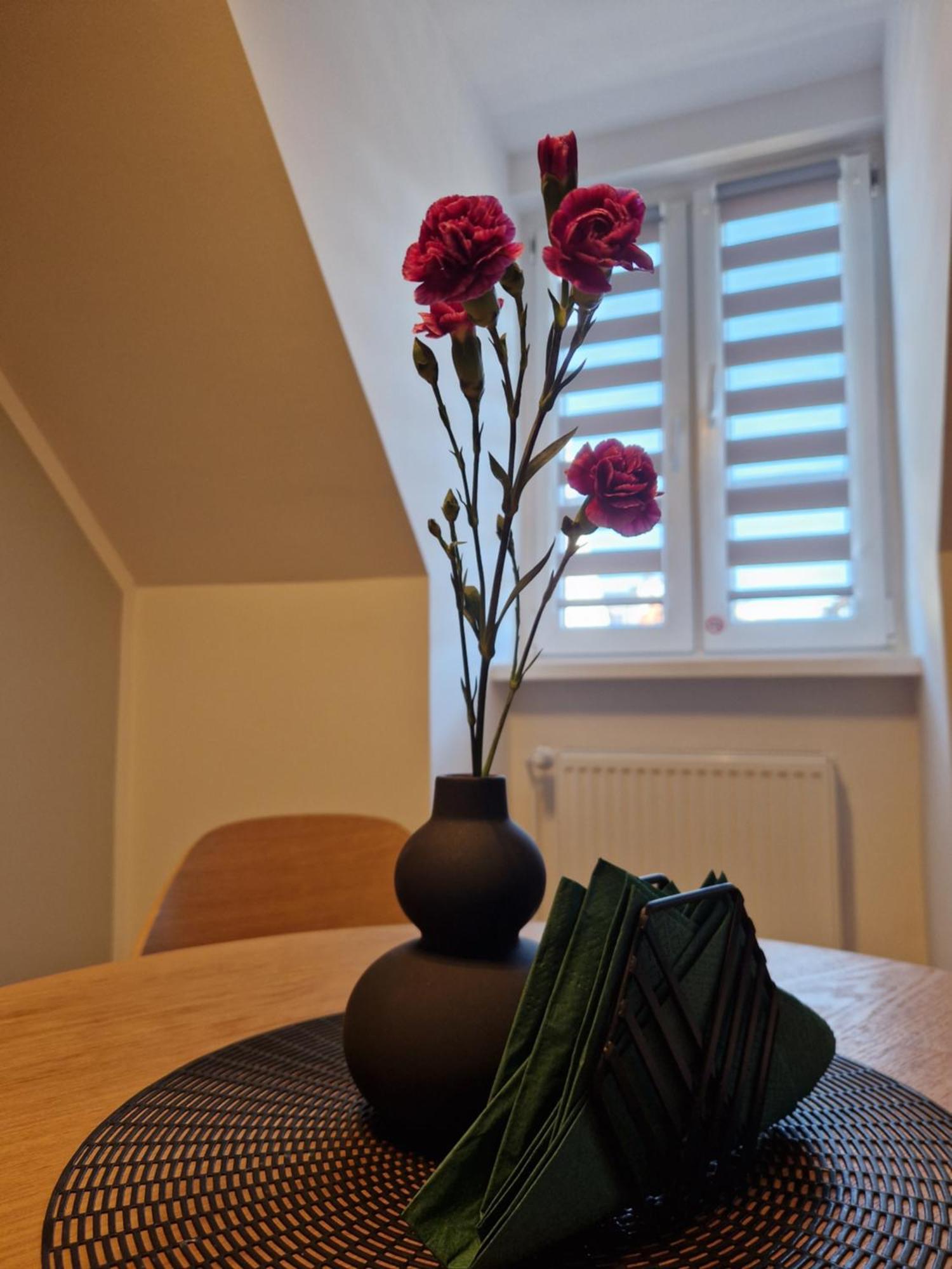 Rabiańska 14 Apartament